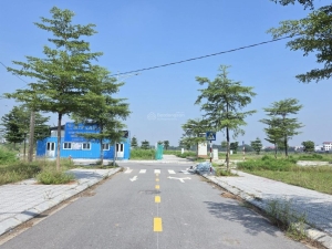 Bán đất trong đê tại Đông Cao, Tráng Việt, Mê Linh, Hà Nội diện tích 125m2, chỉ 4x triệu/m2